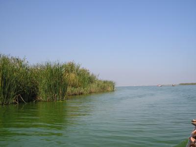 Lago cerca de Valencia