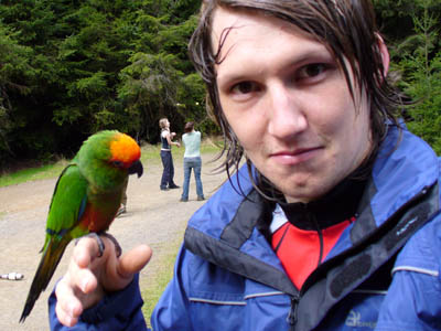 parrot