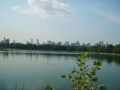 S5000618-Large-