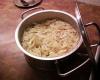gabelkraut