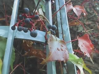 10-11-04_1349