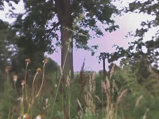 11-08-04_0911