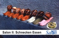 schnecken_sujet_small