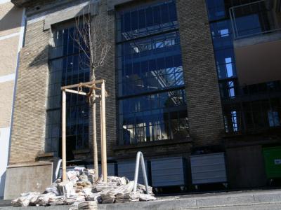 2007-03-11-11-20-11_Groesse-aendern