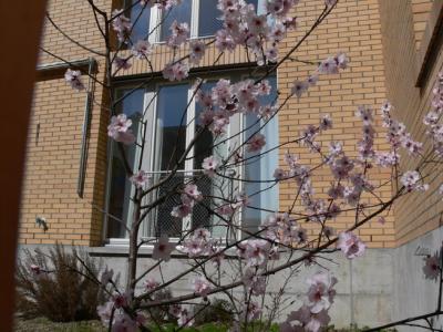 2007-03-11-11-27-51_Groesse-aendern