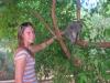 Dani beim Streicheln eines Koalas