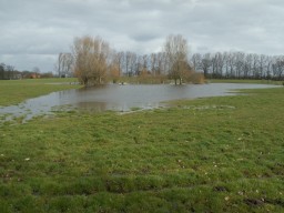 westfalenstrand