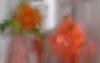 blurredflowers