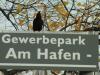 Am Hafen 15