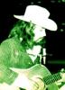 walt27-01-grueblau
