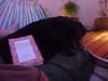 amy_beim_relaxen