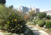 Botanischer Garten Damaskus III