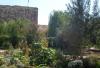 Botanischer Garten Damaskus IV