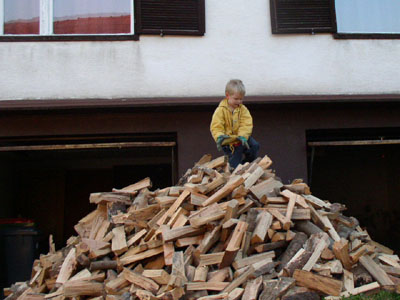 Oskar und das Holz fuer den Winter