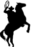 webspacecowboys, webdesign aus berlin, neue internetseite, lars hoffmann