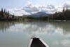 whitehorse-6097824_640