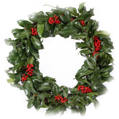 Eine frohe Adventszeit und eine gesegnete Weihnacht