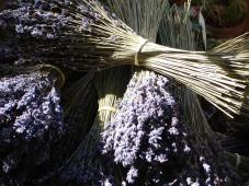 lavender-4139_640