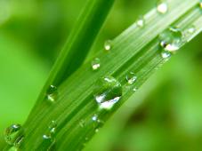 waterdrop-7720_640