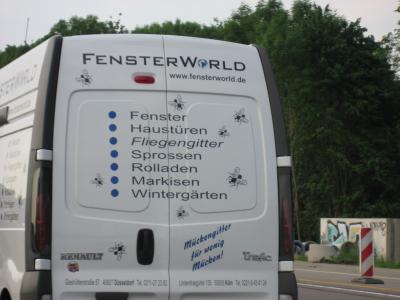 fenster