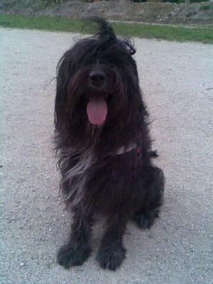 Bild048-2-