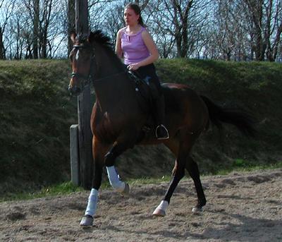 adorax2