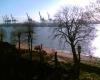 Die-Elbe-im-herbstlichen-Winter