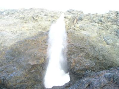 P1010250
