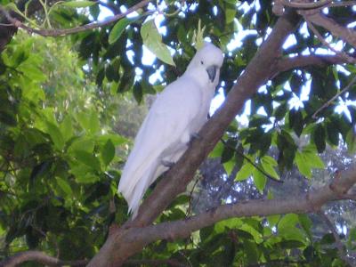 P1010266