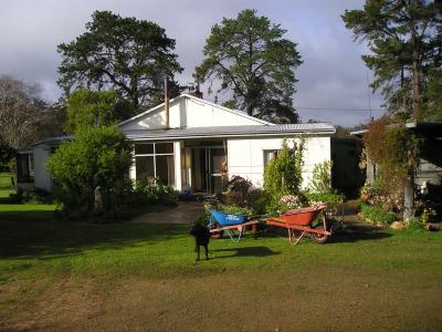 P1010902