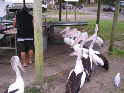 Picture-006