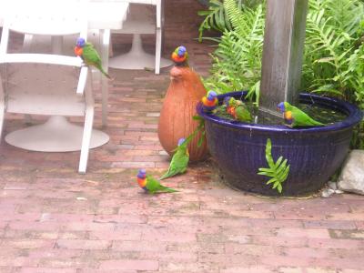 Picture-0061