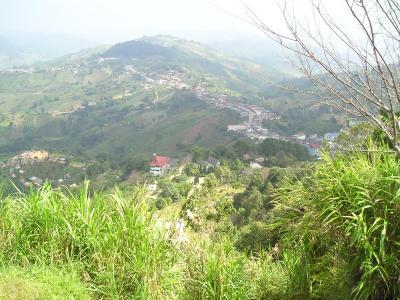 Picture-0073
