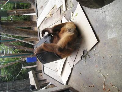 p1010033