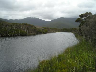 p1010156