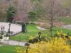 Central-Park-1