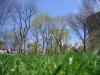 Central Park am Pont