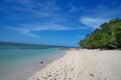 Strand 2