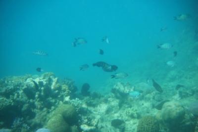 Unter Wasser 2