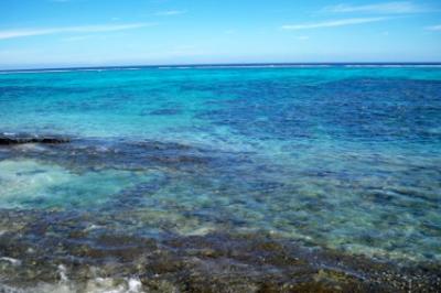 Wasser
