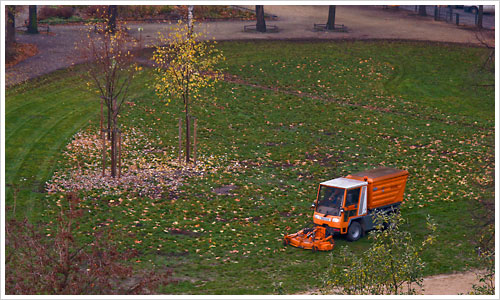 Herbstputz im Comeniuspark