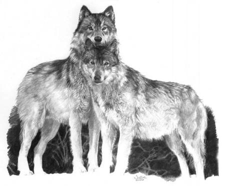 wolf44