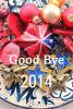 Good Bye 2014