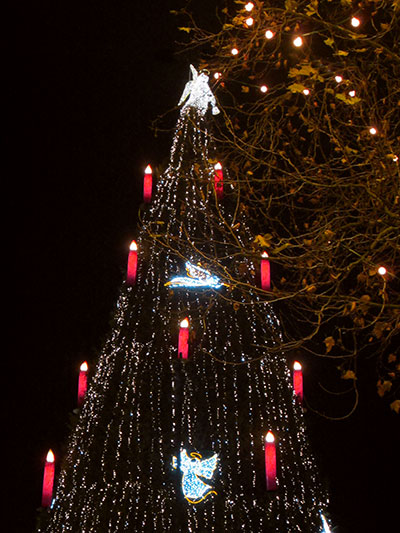 Der Weihnachtsbaum auf dem Dortmunder Weihnachtsmarkt