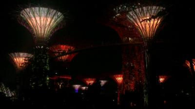 Supertrees-im-Garden-by-the-Bay