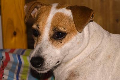 3092517374_cee6b4d5d7