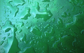 regentisch
