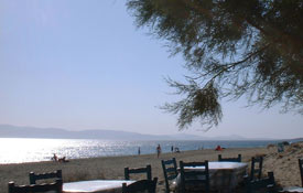 strand1