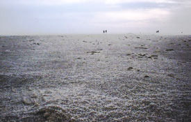 strand2