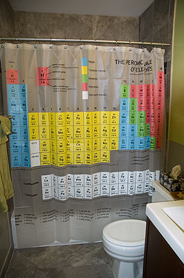 showercurtain